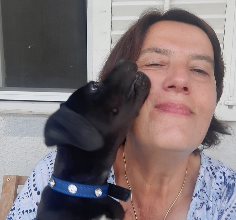 Privatna arhiva Blagica Kostić, Južne vesti