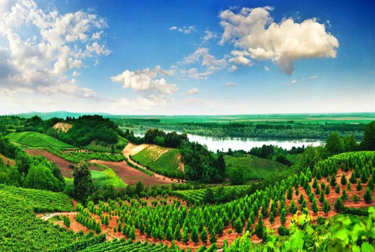 Vinogradi Fruške gore