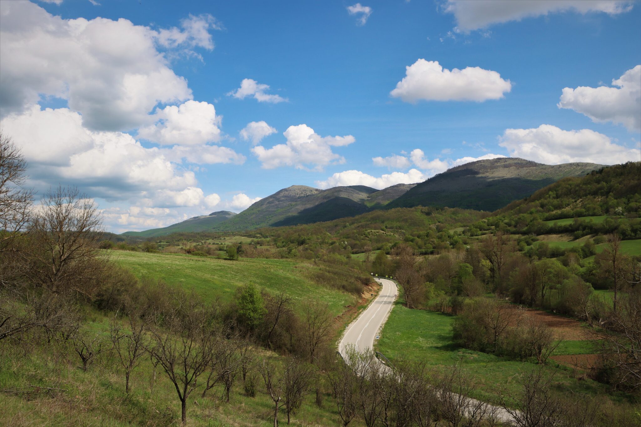 Foto: Nenad Ranđelović