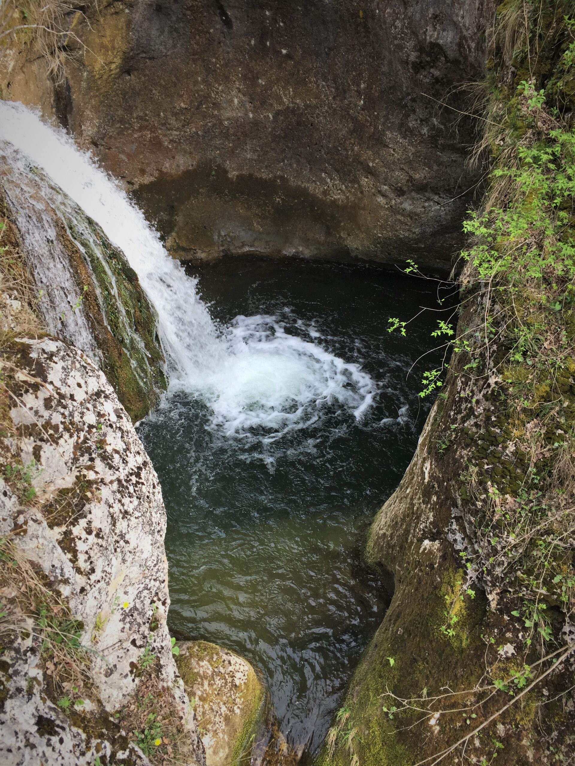 Foto: Nenad Ranđelović