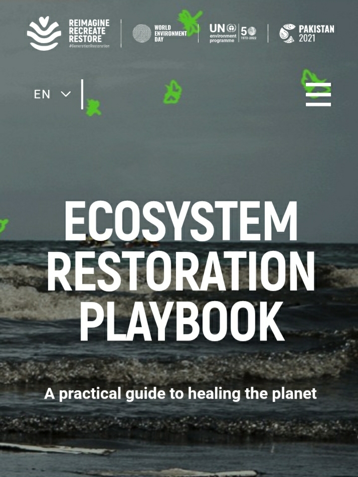 Praktični vodič za ozdravljenje planete.